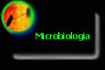 microbiologia