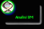 analisi BM